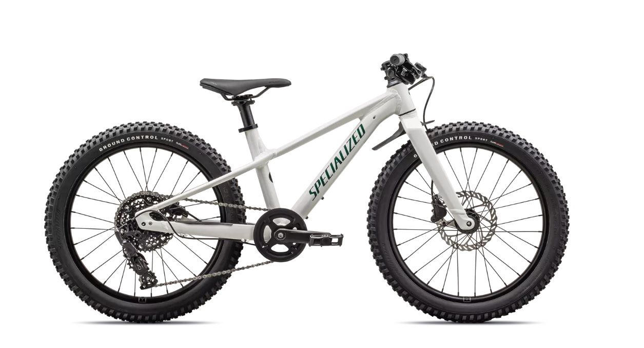 BICI BAMBINO BAMBINA SPECIALIZED RIPROCK 20