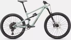 SPECIALIZED STATUS 160