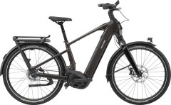 CITY E-BIKE CANNONDALE MAVARO 2