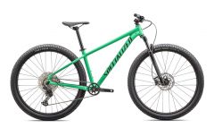 MTB SPECIALIZED ROCKHOPPER EXPERT 29" VERDE
