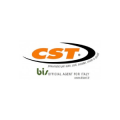 BIS srl